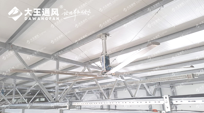 大王通風(fēng)助力俄羅斯牛場(chǎng)畜牧養(yǎng)殖