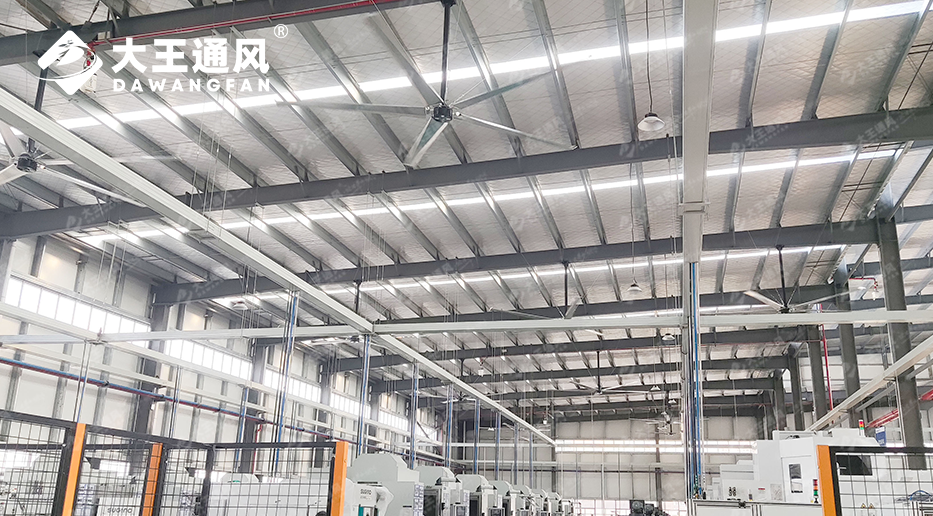 解析大王工業(yè)大型風(fēng)扇如何實(shí)現(xiàn)「大風(fēng)量、廣(guǎng)覆蓋」